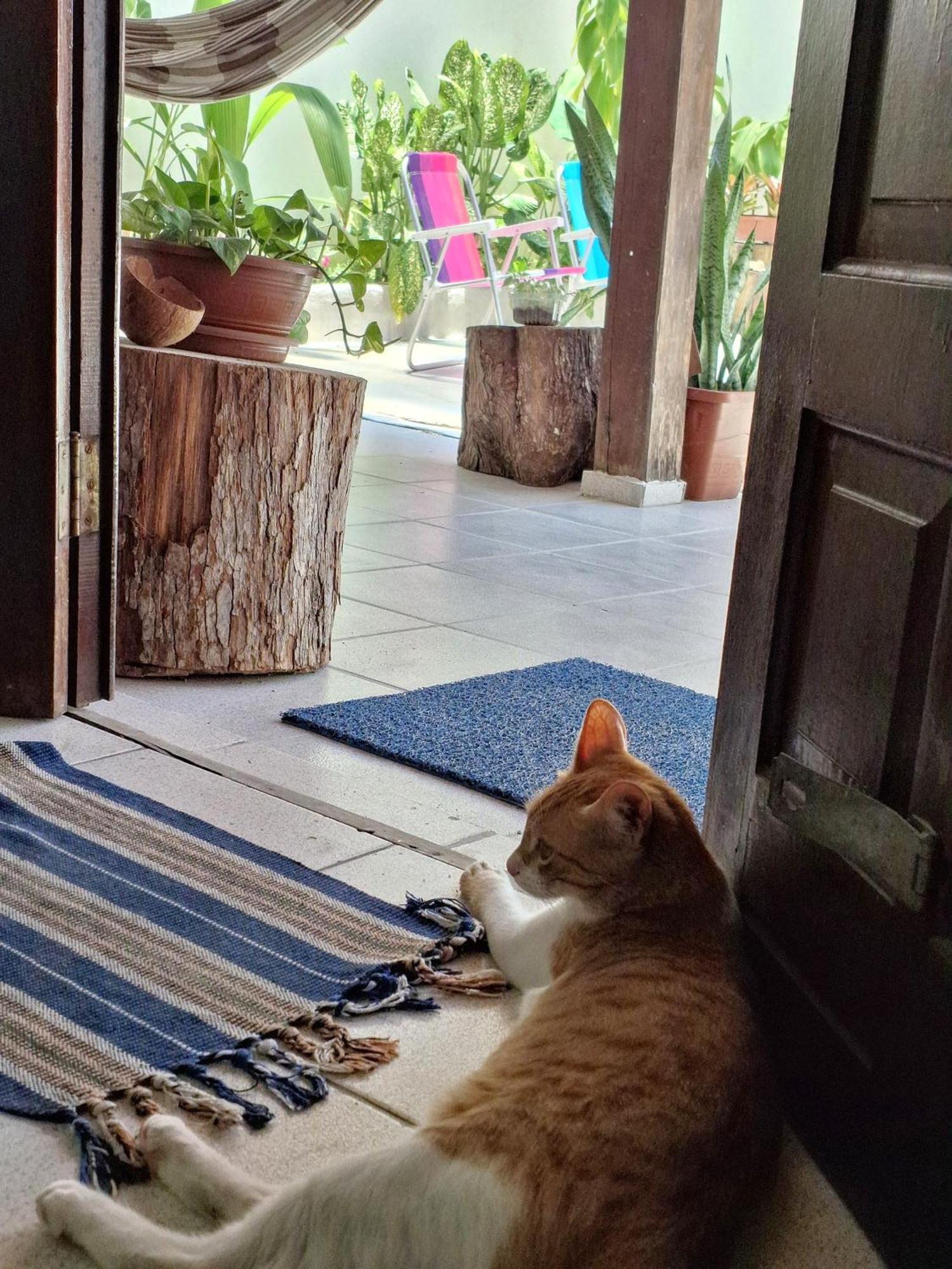 Odoya Casa Hostel Porto Seguro Kültér fotó