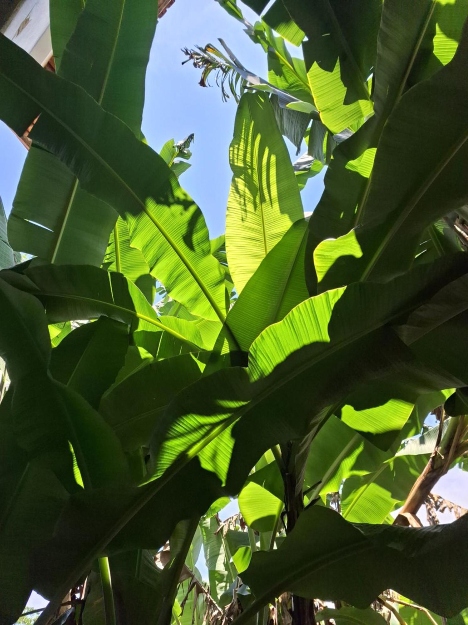 Odoya Casa Hostel Porto Seguro Kültér fotó